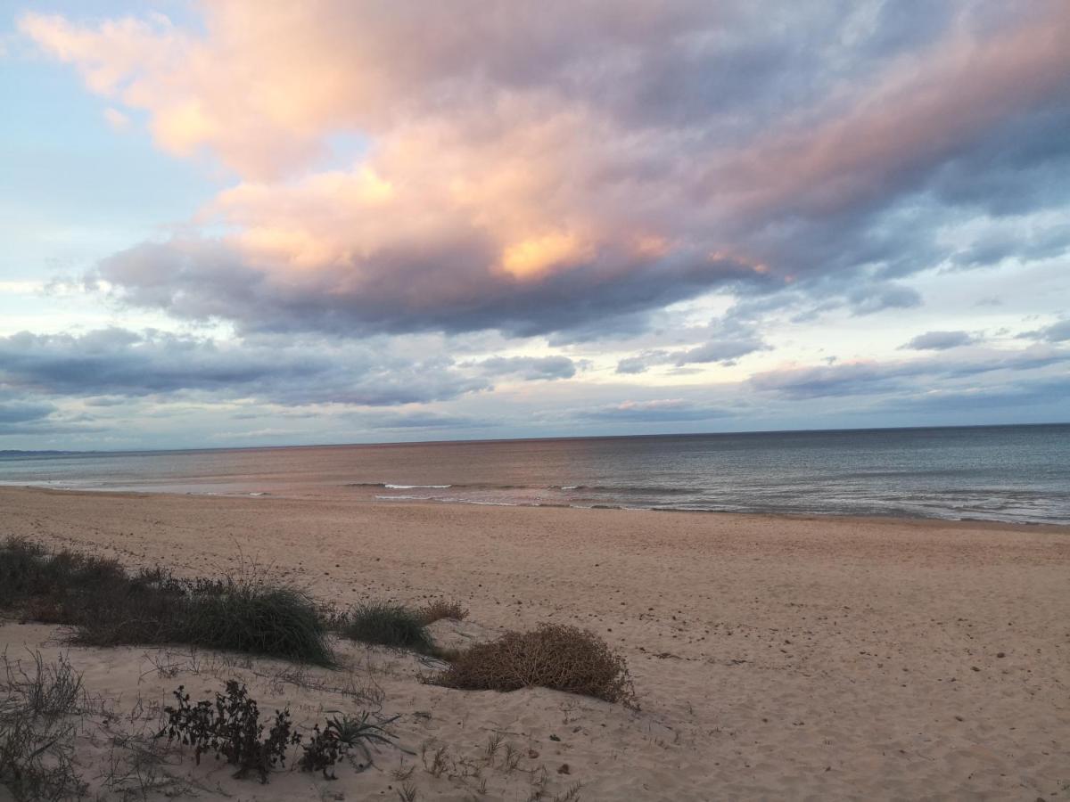 Apartamento Con Vistas Al Mar Oliva Exteriér fotografie