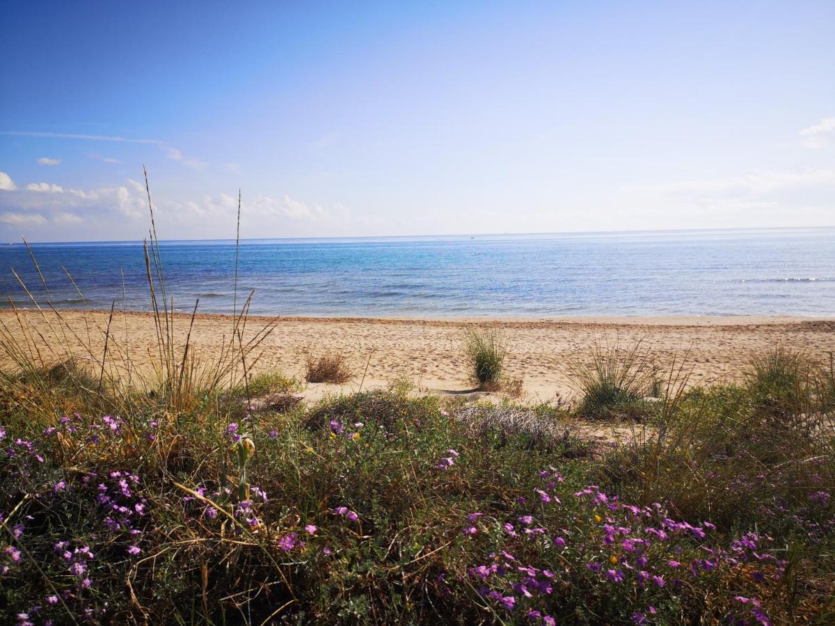 Apartamento Con Vistas Al Mar Oliva Exteriér fotografie